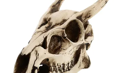 Spooky Goat day twelve! SPOOKY DECOR THAT IS NEW TO YOU THIS YEAR