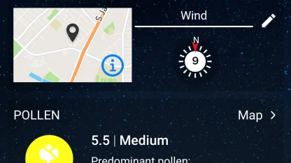 Not in love with winter this morning