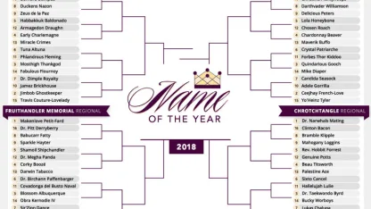 2018 Name of the Year competition blog