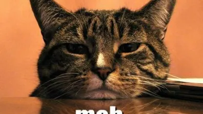 /captionbot is back!