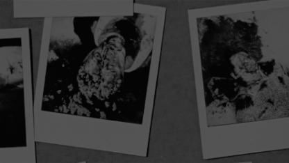 Why are we not talking about Glen and Abraham?