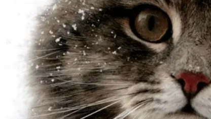 Done with winter yet?