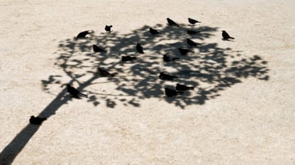 How are my fellow Southern Californians?