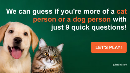 Let's just do it: cat person or dog person?