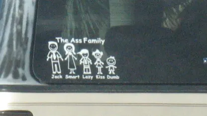 Do you put bumper stickers and/or window decals on your car?