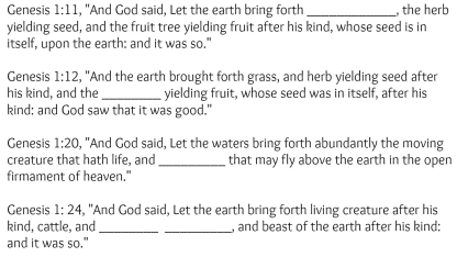 Seeds Scavenger Scramble Day 1