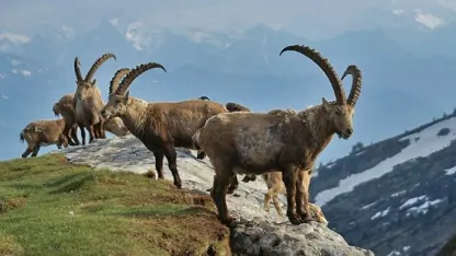 Deals.meh.com (April 2017)