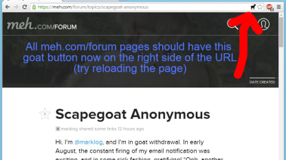 How did you get to meh's forums?