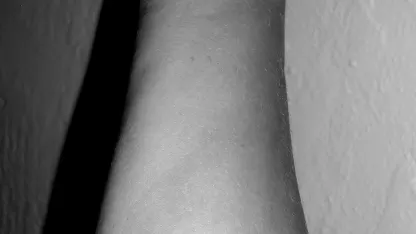 Best idea ever by a human. There, I said it.