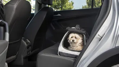 Sherpa Crash-Tested Pet Carrier, 2-in-1 Backpack, or Soft-Sided Pet House