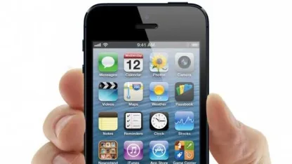 Small business needs advice