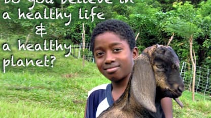 Goat Day #7: Music, Then and Now