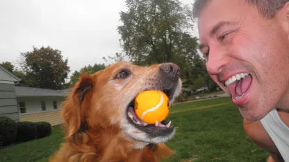 Maybe it bothers me more than it should, but...