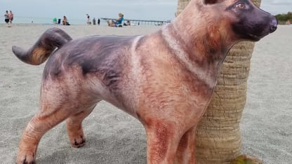 Inflatable of the Day 4/15