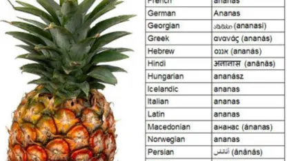 Fruit of the Day: Pineapple