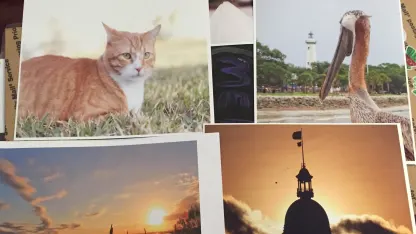 Some said they wanted an {unofficial} mehrician exchange now? Yes? No?