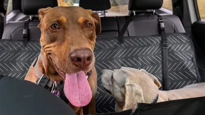 2-Pack: Nalalas Waterproof Washable Dog Seat Cover