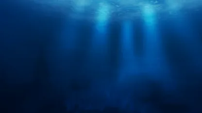 Weekend Playlist Archive Through 1/1/2017