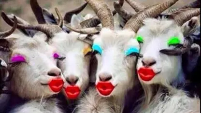 Kiss My Capra Aegagrus Hircus (February 2020 Scapegoat Blame Thread)