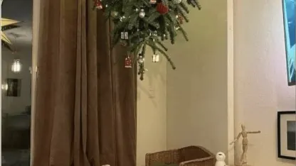 Pets and the holidays