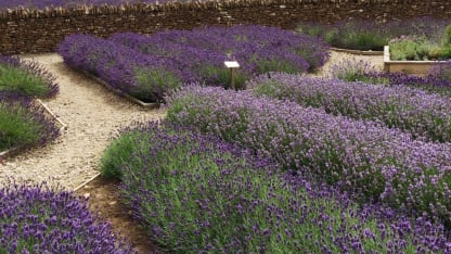 Isn't it nice when you discover something wonderful?