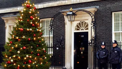 How long will your tree last?