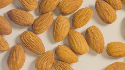 Using only food, where did you grow up?