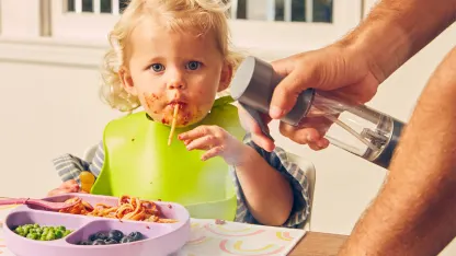 Homedics Ozone Clean Multipurpose Cleaner