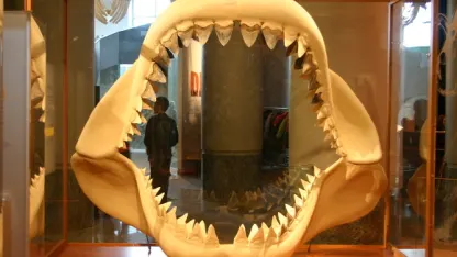 미국분들께 늘 궁금했던것: LOL와 LMFAO의 차이??