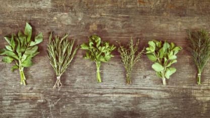 Plant polls: favorite herb?