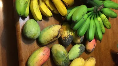 Happy 0th Birthday Fruit for IRKs