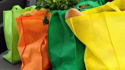 Reusable Shopping Bags