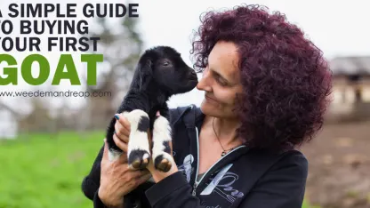 If you can't beat 'em....buy 'em