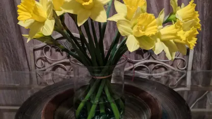 What sort of treats do you give yourself?