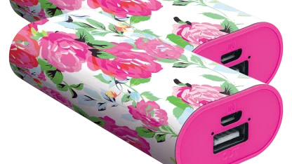 2-Pack Floral Printed 4000 mAh Powerbank part of The Macbeth Collection
