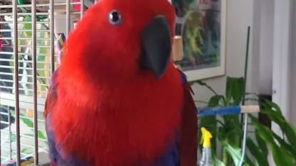 It takes a lot of time and work for females to get ready in the morning.