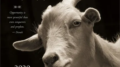 I am a goat, yeah