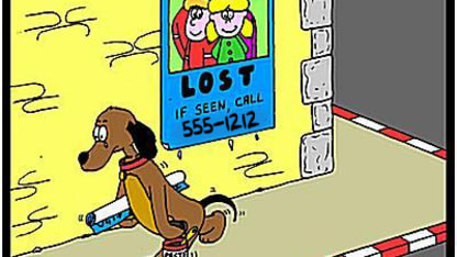 Have you ever had a dog run away?