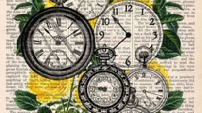 Do you own a printed dictionary, and if so, how often do you use it?