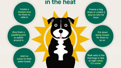 Let's talk cooling. How do you keep your house cool in the summer?