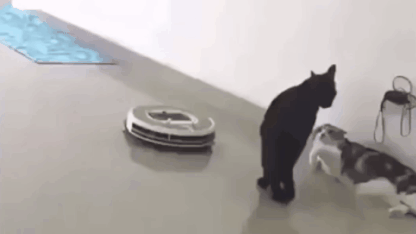 Not A Roomba