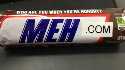 Copyright infringement, or just Meh?!?!