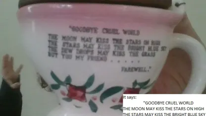 What the fuck is this (toilet baby)?