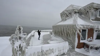 Winter. How’s yours so far?