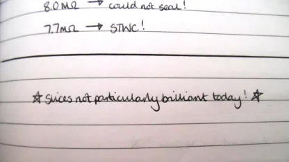 Meh: Day 100, Reviewing The Experiment