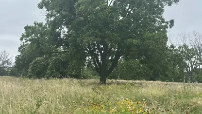 Happy and respectful Memorial Day to all!  Esp those who served!