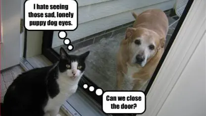 Why (and how) did I get this Fuku?