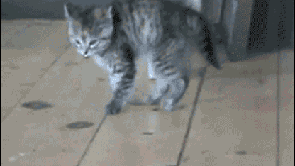 메.에서 포스팅 맛깔나게 하기! (Meh Style Guide: Learn how to post good")