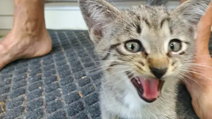 I never thought I'd see the day...