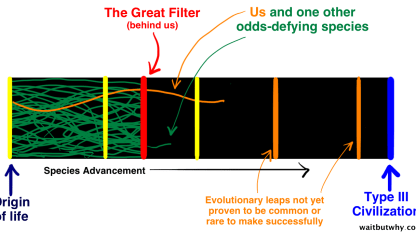 how long have those filters been up there?